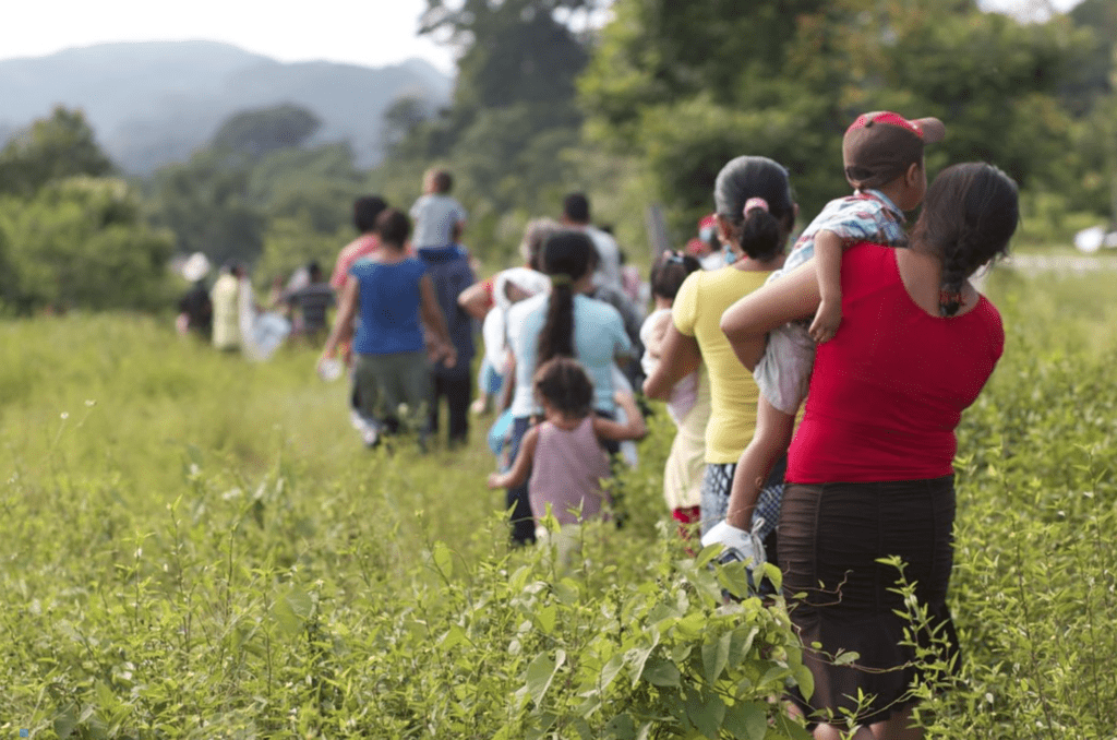 coach-emocional-terapia-de-duelo-duelo-migratorio-joyfulminds