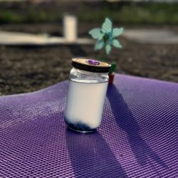 coaching-emocional-terapia-emocional-joyfulminds