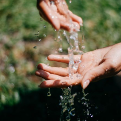 coaching-emocional-trauma-y-shock-joyfulminds